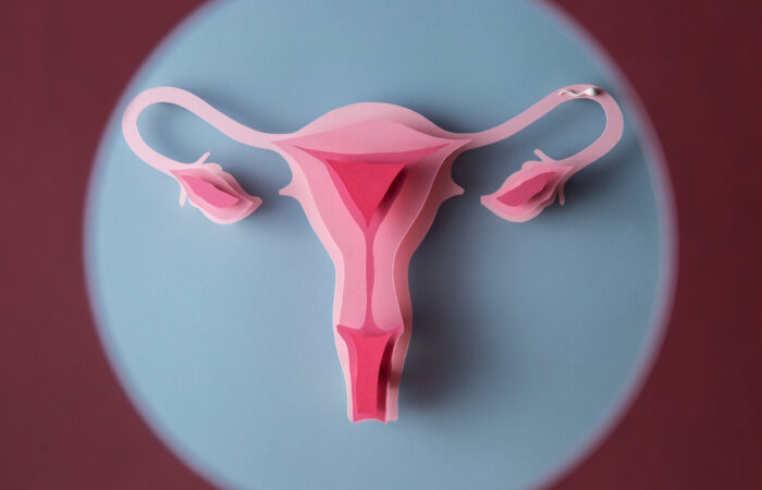Bursa Genital Estetik